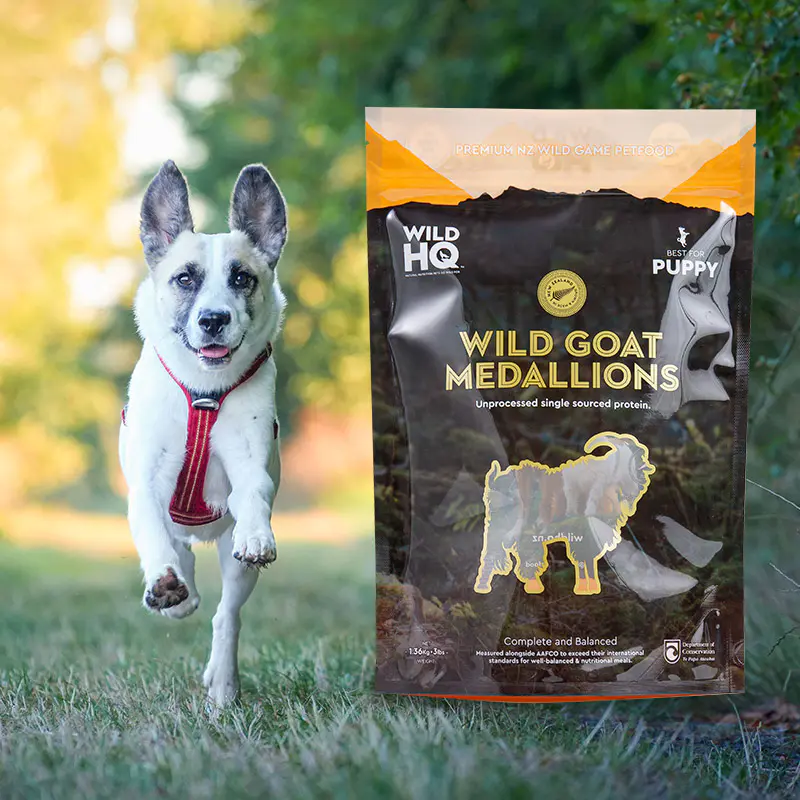 Farverig miljøvenlig digital udskrivning - kaffepose med lav pose